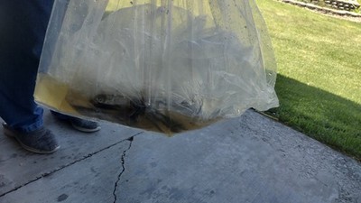 Artikelfoto(s) von einem verifizierten Käufer