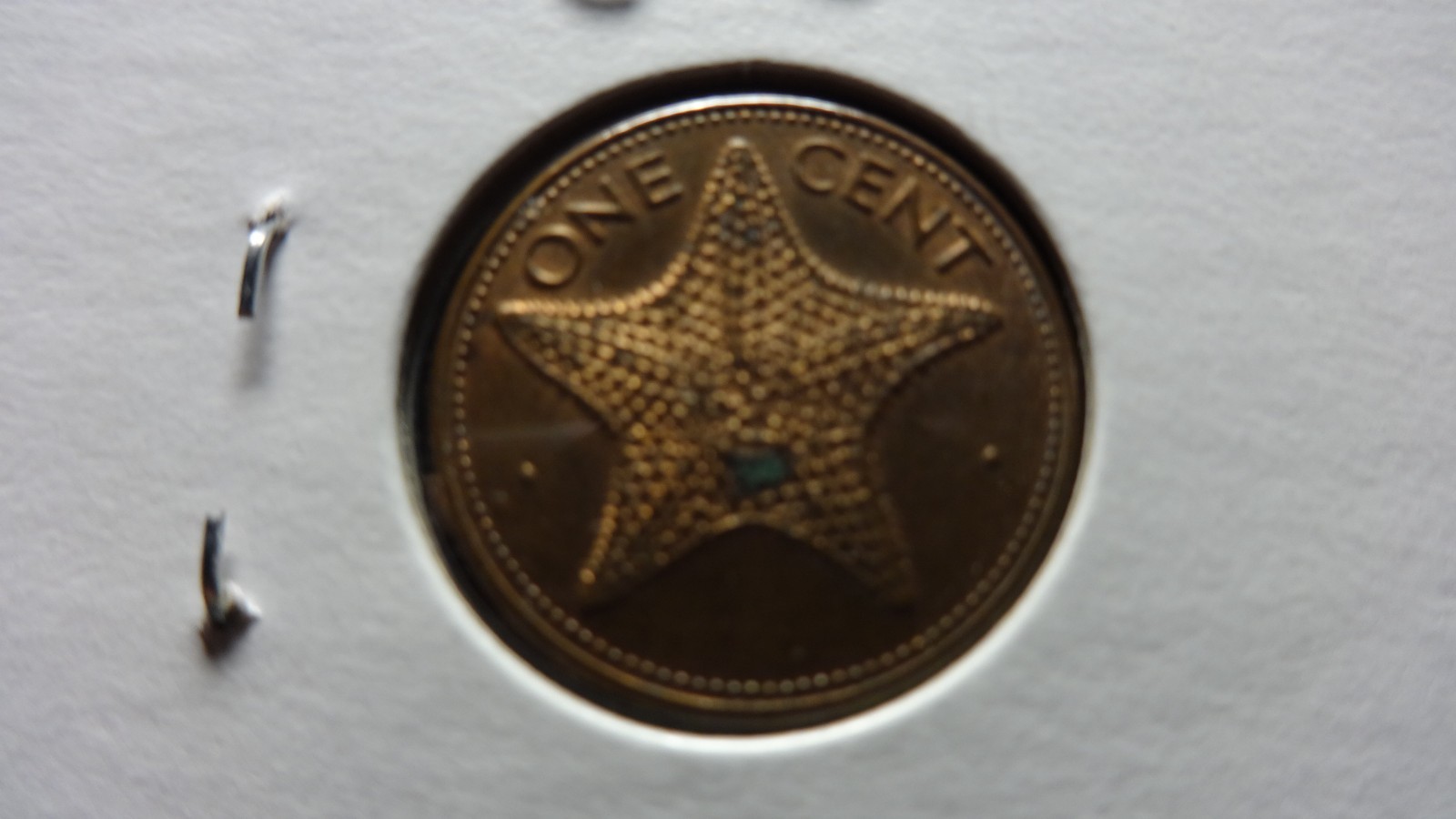 Bahamas  1985  1 Cent  * Star fish *coin