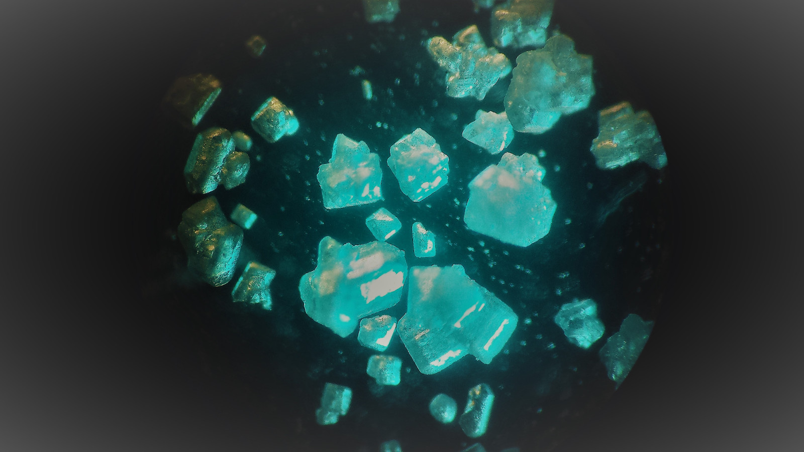 Microscope 32mm Rheinberg Filters Set With Darkfield Lighting - Marvelous Set!!!