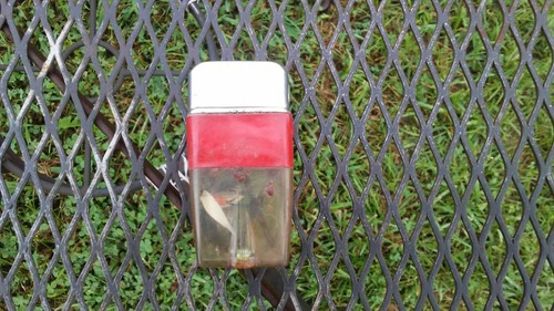 With Trout Fishing Fly