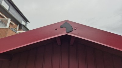 Foto dell'oggetto di un acquirente verificato