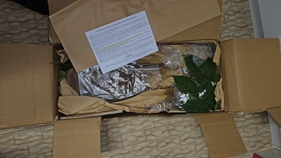 Foto dell'oggetto di un acquirente verificato