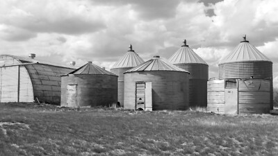 PrairiePrintsMT LLC Original Farm Photography