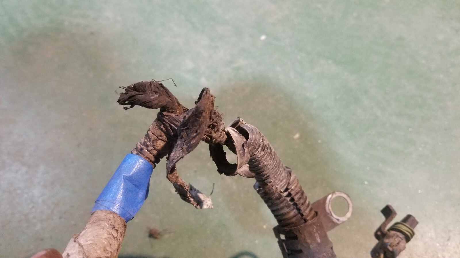 3972349  Engine Harness Dodge Ram Cummins Diesel 5.9L - Picture 3 of 12