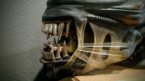 Rare Sideshow HCG Life size Alien Bust