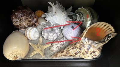 Fotos del artículo de un comprador verificado