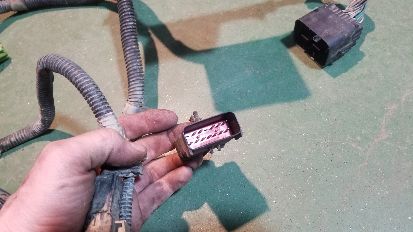 3972349  Engine Harness Dodge Ram Cummins Diesel 5.9L - Picture 12 of 12