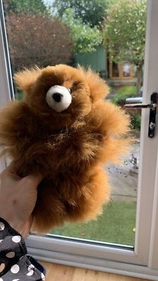 Item photo(s) from verified buyer