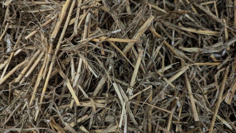 â­ Stroh In Verschiedenen Menge, QualitÃ¤T Aus Deutschland