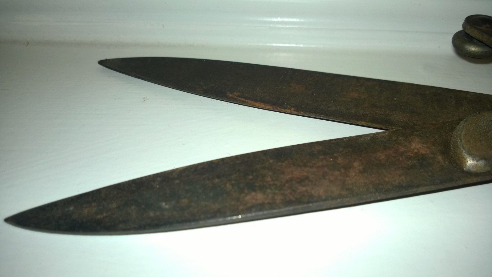 VINTAGE Plant Flowers TRIMMERS SHEARS Pruners Old Farm Garden Tools Rustic Decor