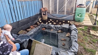 Zdjęcia przedmiotu od zweryfikowanego kupującego