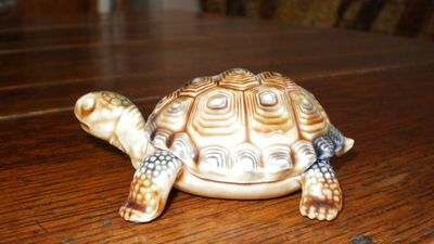 Wade Father Turtle Tortoise Trinket Box
