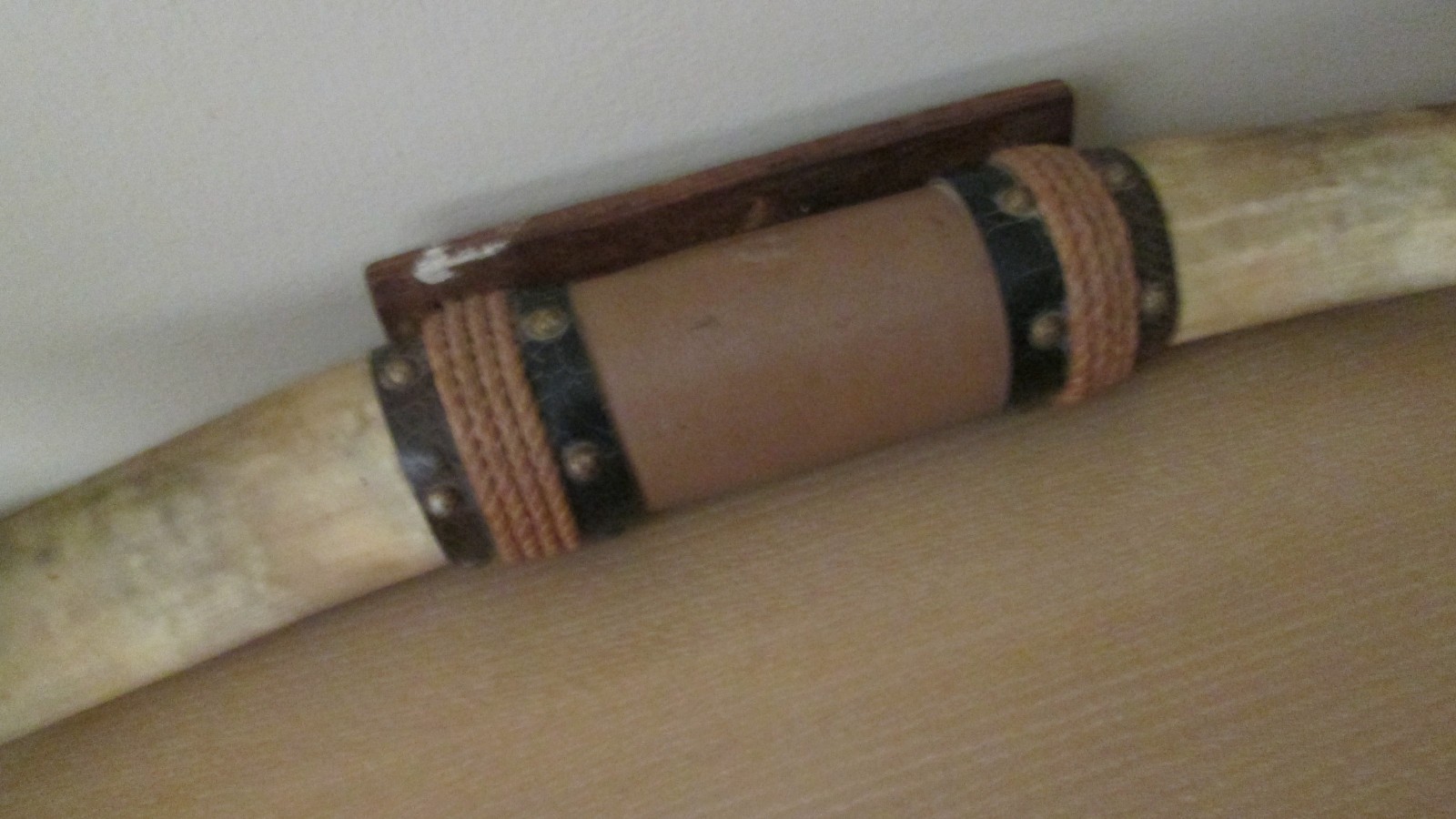 Vintage Mounted Bull Horns Steer Cattle Cow 32