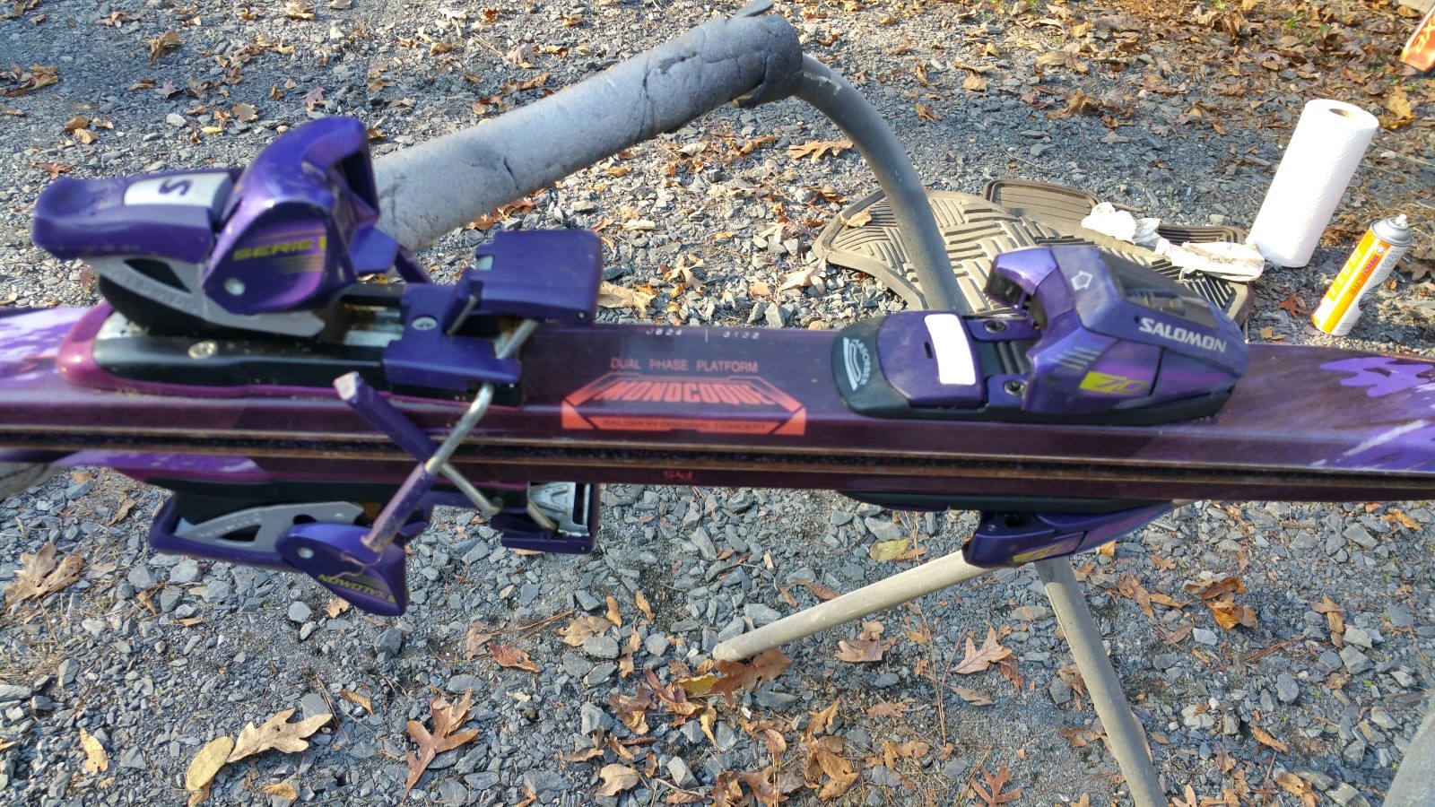 Evolution Lite Salomom Skies