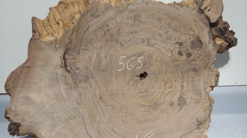 Pacific Black Walnut, live edge, stump root slab burl, wall art, shelf