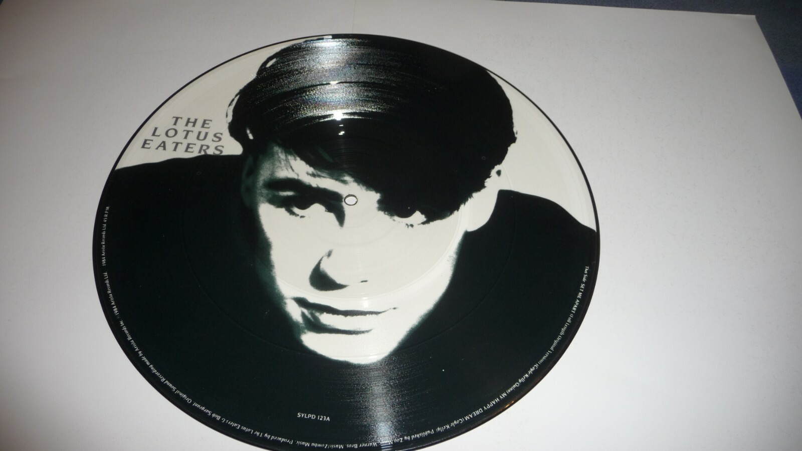 IT HURTS(限定12inch)/THE LOTUS EATERS THE LOTUS EATERS SET ME APART 12'' PICTURE DISC 1984 INDIE