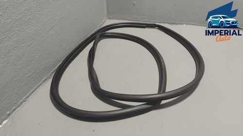 Toyota Rav4 2019-2025 Rear Right Passenger Side Door Body Weatherstrip Seal OEM
