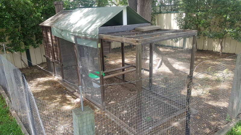 Chicken Coop Pet Products Gumtree Australia Penrith Area