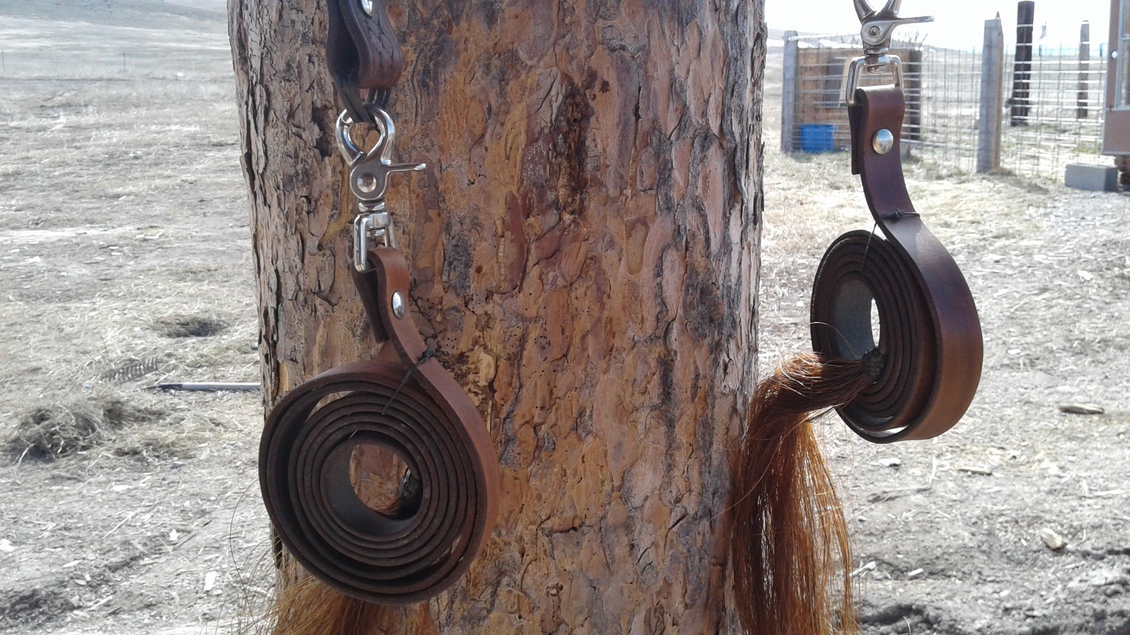 Horse Bitless bridle 100% Horse hair/leather. hand made show bridle. NEW