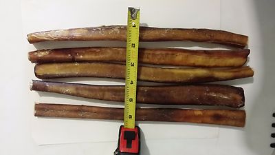 SUPER THICK Premium Bully Sticks 12'' Natural Beef Chews - FREE SHIPPING