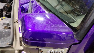 03-09 Hummer H2 Left Driver Hood Cowl Vent Trim Cap Panel (Purple Repaint)