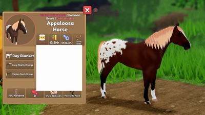 IUH - Appaloosa Horse - Pearly Orange
