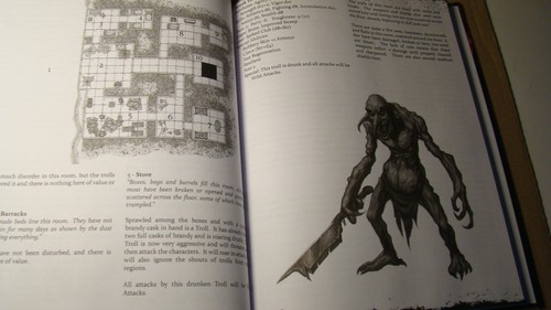Picture 4