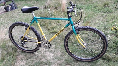 Peugeot Sand Shark 80s mountain bike vintage retro barn find 501 Eastbourne 