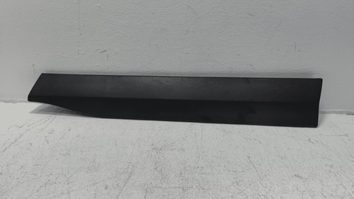 2019-2025 Toyota RAV4 Front Right Passenger Side Door Lower Molding Cover OEM