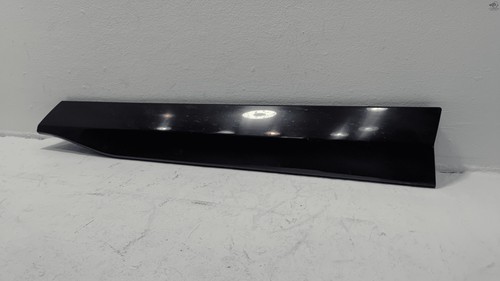 2019-25 Toyota RAV4 Front Passenger Door Lower Molding Cladding Black Trim OEM