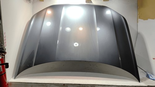 2021-2025 Volkswagen Atlas Front Hood Panel Gray OEM