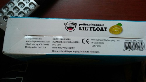 New Bigmouth Inc. Petite Pineapple Lil' Float Kohl's Exclusive For Ages 1-3 nib