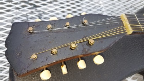 Vega Banjolin,  1920,s Vintage