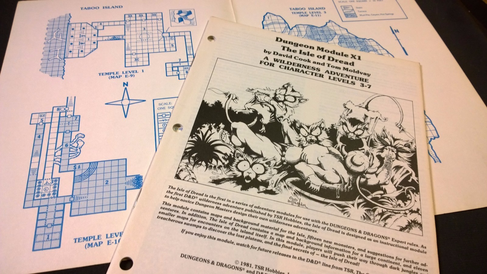 X1 The Isle of Dread Basic D&D wilderness module AD&D TSR rpg purple