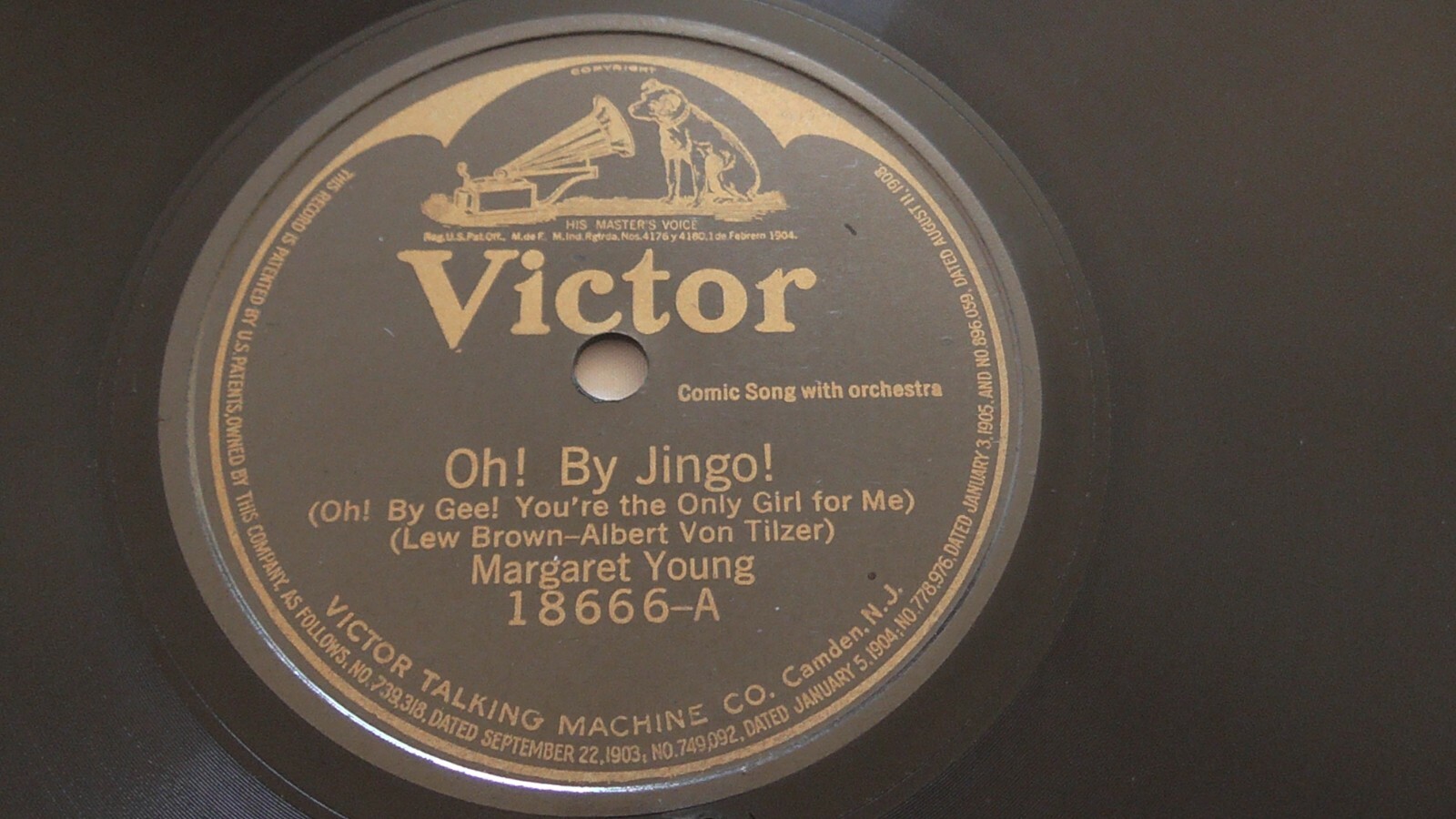 ウィキッドチャイルド Margaret Young 78rpm Single 10-inch Victor Records #18666 Oh