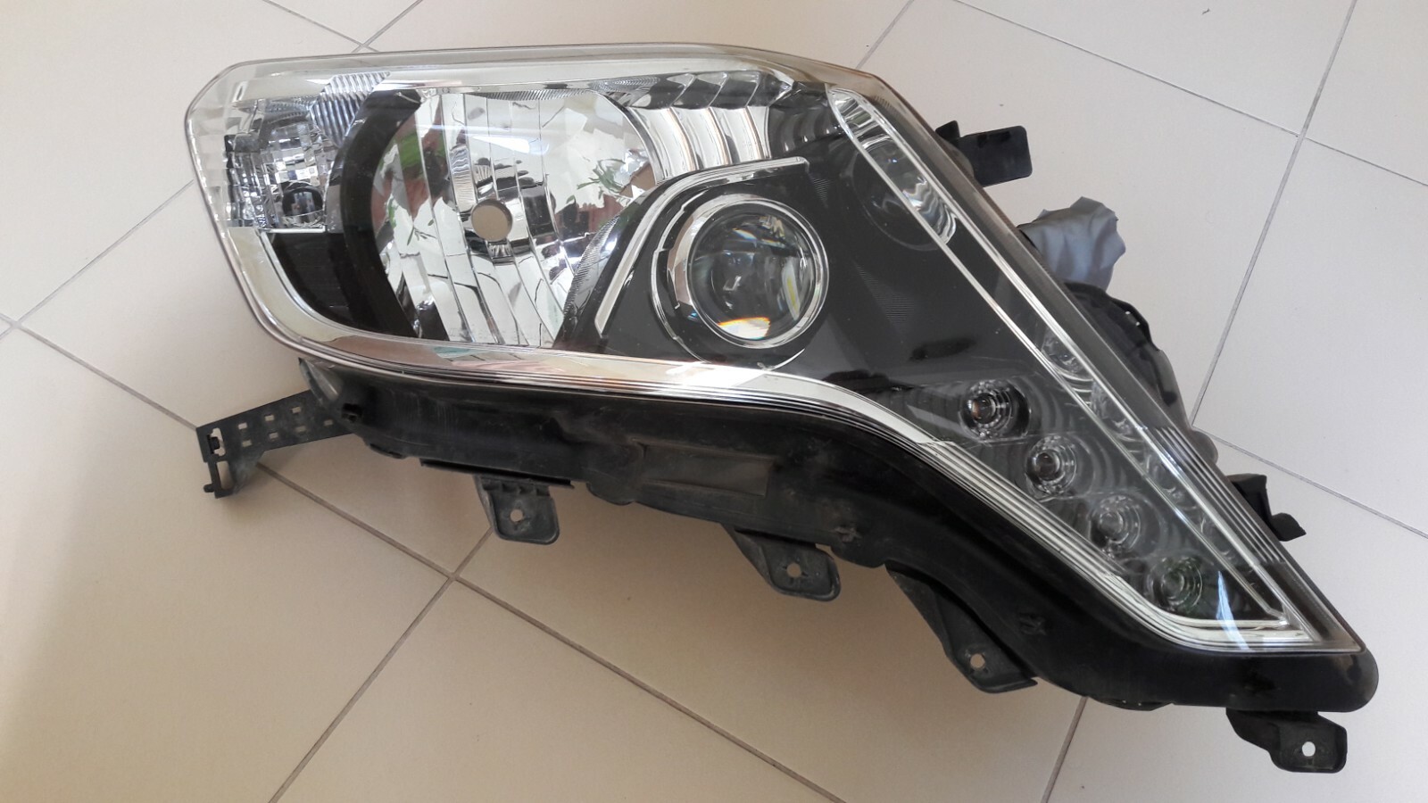 らん $_57.JPG?set_id=8800005007