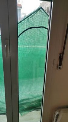 Foto dell'oggetto di un acquirente verificato