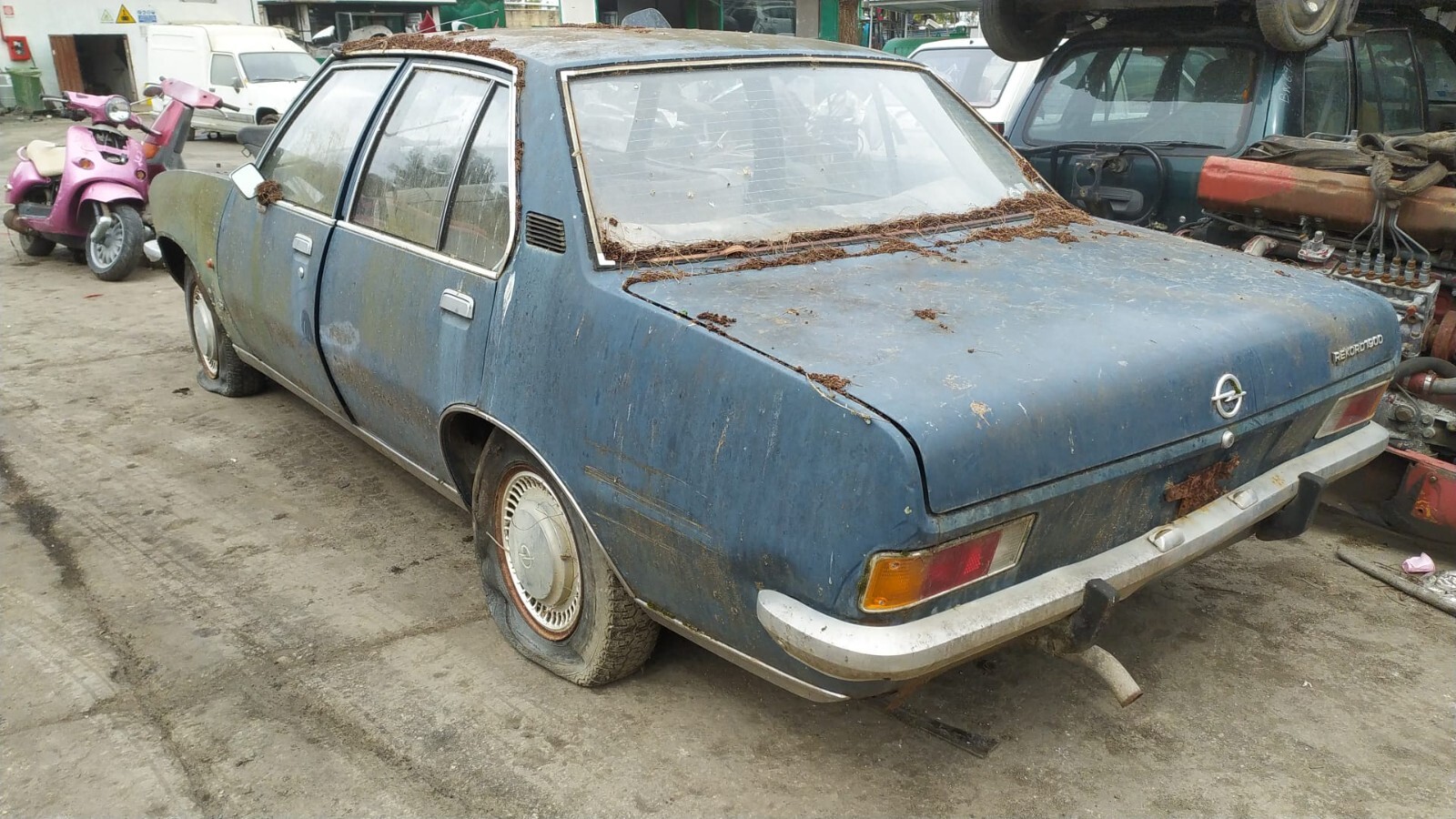 Miniatura 6