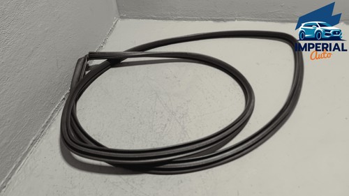 Toyota RAV4 Front Right Passenger Side Door Body Weatherstrip Seal OEM 2019-2025