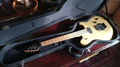 EVH Wolfgang WG Standard Electric Guitar - Gold Sparkle WITH ORIGINAL HARDCASE