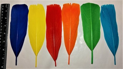 DYED TURKEY TAIL FEATHERS BAG SALMON FLY TYING FISHING RARE HARD TO FIND