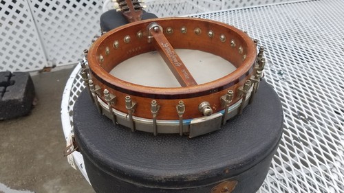 Vega Banjolin,  1920,s Vintage