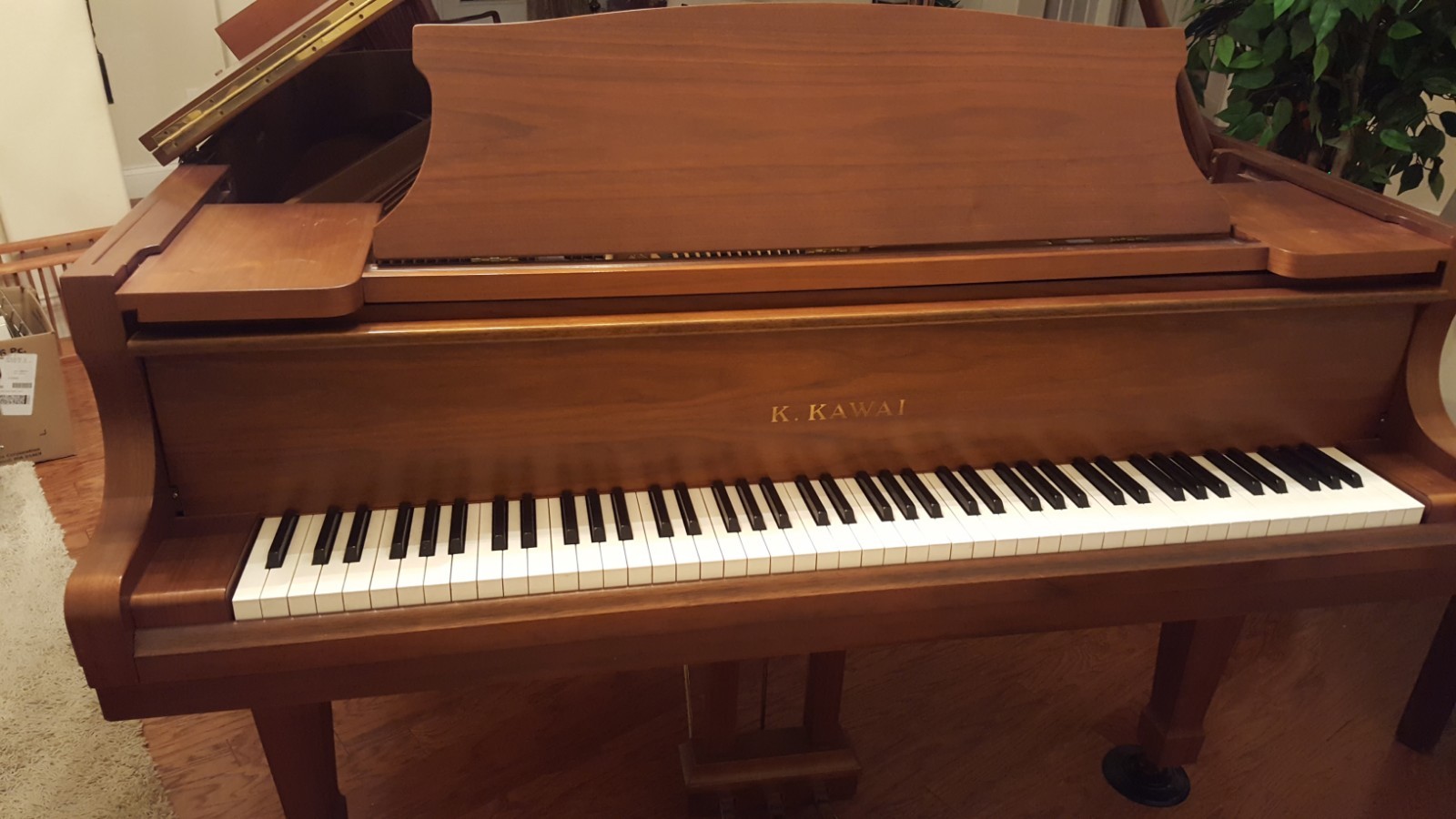 Gorgeous Kawai Baby Grand Piano KG-1D Walnut Satin Finish