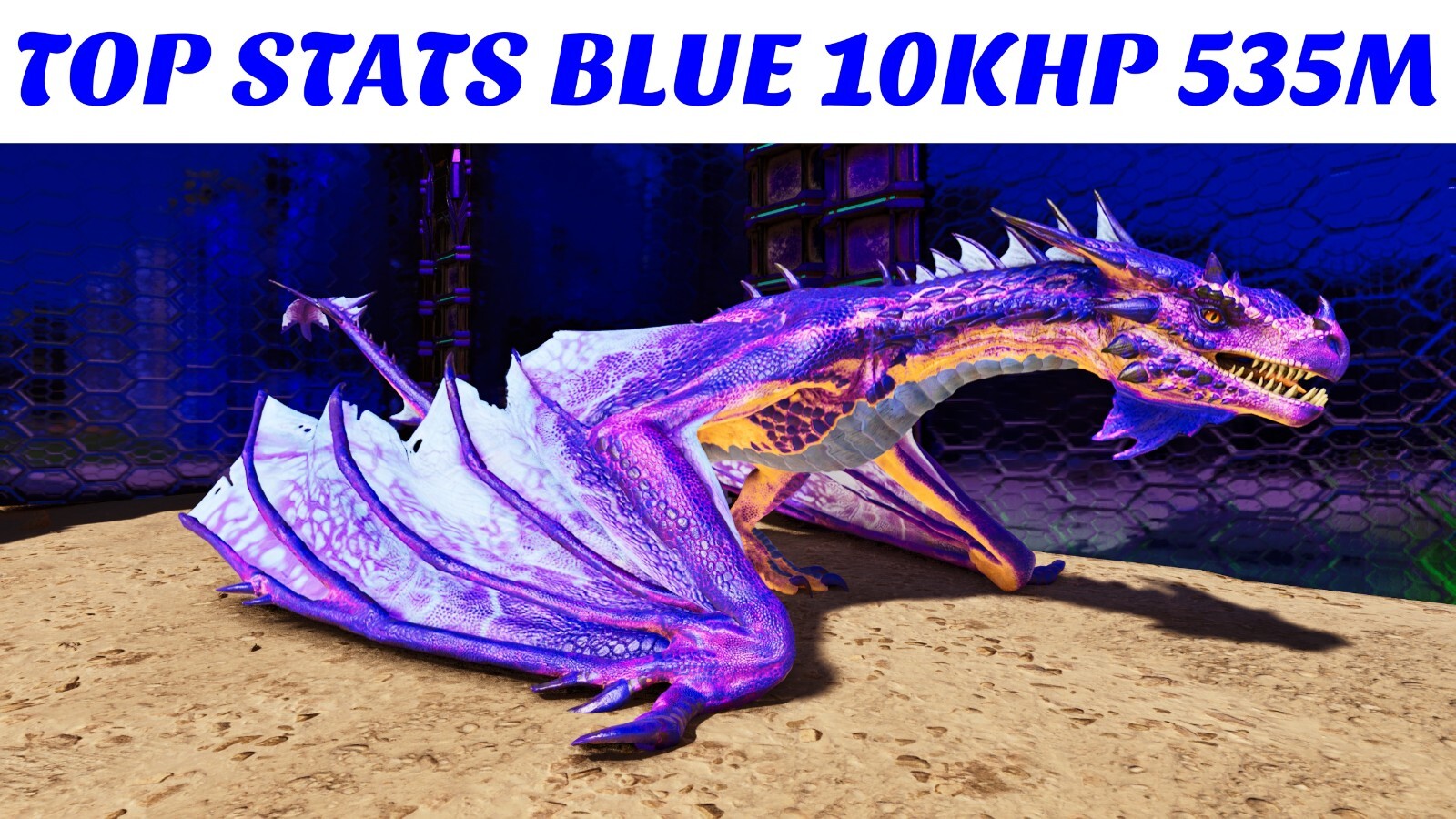 ARK-705 SHIELD 伯耆守J◎5 ARK-705 SHIELD 伯耆守J◎5 Amazon.com: PQIQP 1 Set WINDCAMP