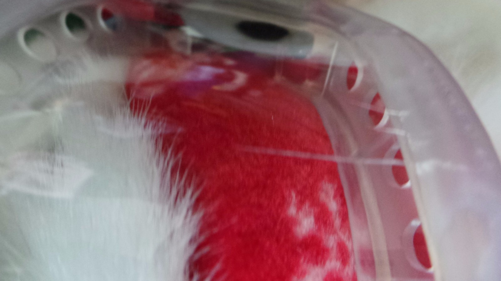 Dayton Hudson Marshall Field Target Santa & Mrs. Bear Ski Patrol Bears 2004