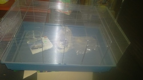 Rattenkäfig