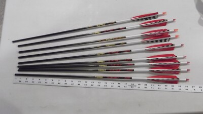 9 VELOCITY 500 AND 600 CARBON ARROWS