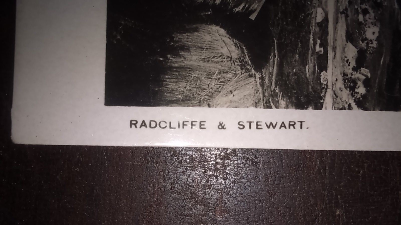 Stereoscopic Post Card - Ohinemutu, NZ - Radcliff & Stewart