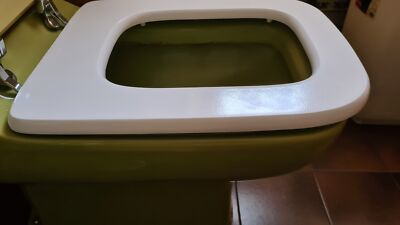 Foto dell'oggetto di un acquirente verificato