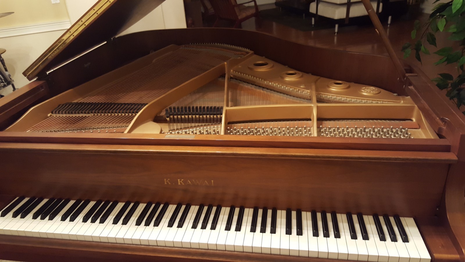 Gorgeous Kawai Baby Grand Piano KG-1D Walnut Satin Finish
